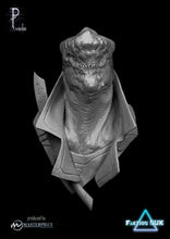 Load image into Gallery viewer, NUK Faction
