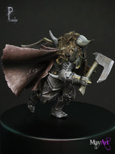 Load image into Gallery viewer, Toorn