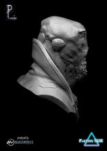 Load image into Gallery viewer, Dentuk