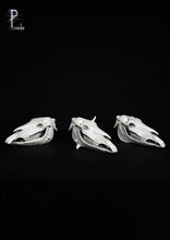 Load image into Gallery viewer, Horses 75
