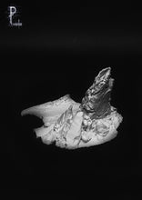 Load image into Gallery viewer, Chaos 1