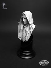 Load image into Gallery viewer, Dark Elf