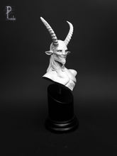 Load image into Gallery viewer, El Cabrón
