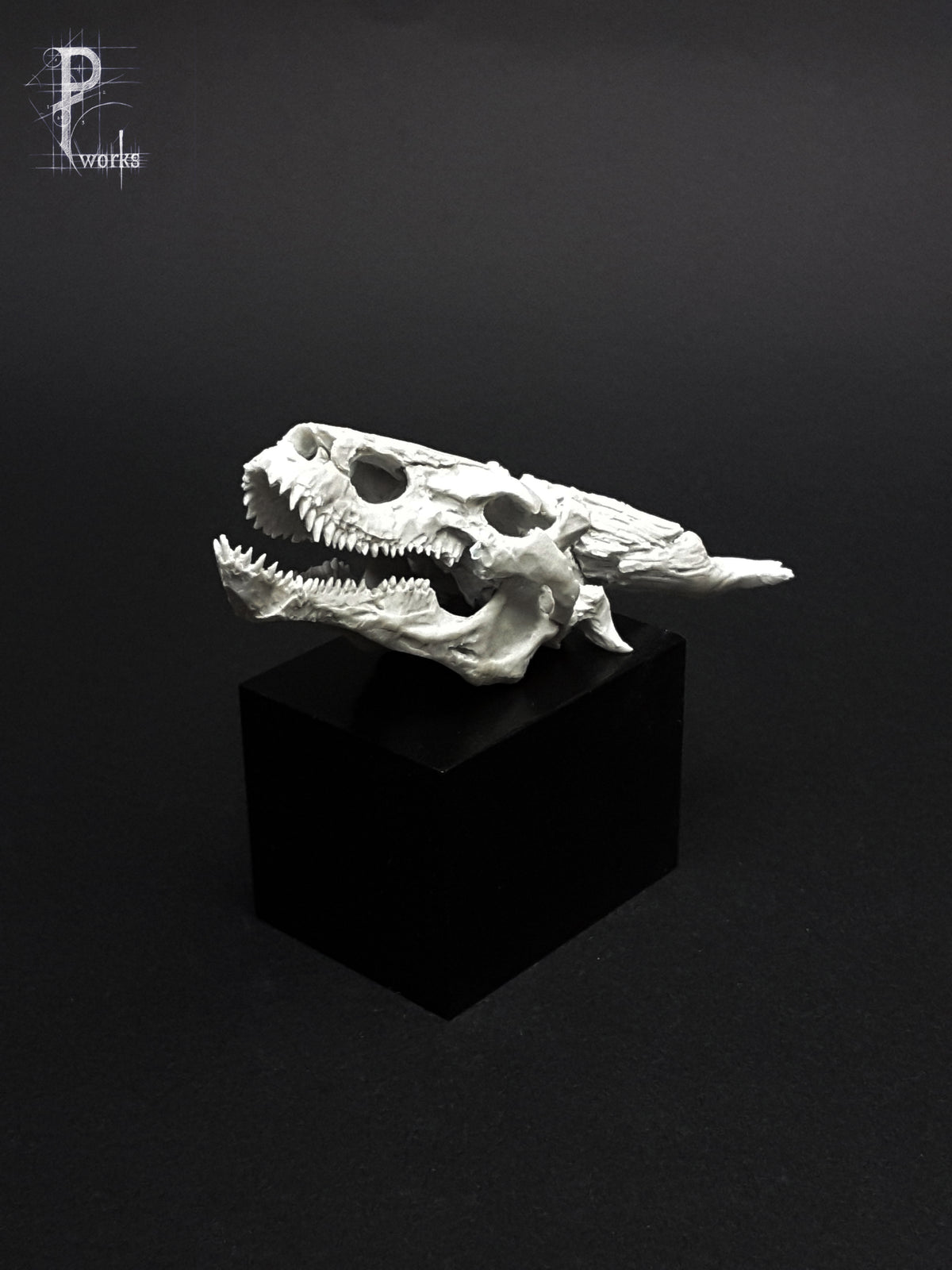 Dragon Skull