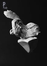 Load image into Gallery viewer, CAThy girl