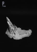 Load image into Gallery viewer, Chaos 1