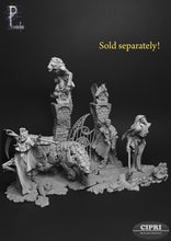 Load image into Gallery viewer, Tin Man