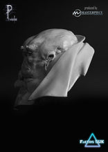 Load image into Gallery viewer, Gorduk