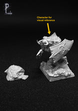 Load image into Gallery viewer, Chaos 2