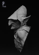 Load image into Gallery viewer, Goblin