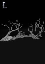 Load image into Gallery viewer, Chaos 9