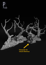 Load image into Gallery viewer, Chaos 9