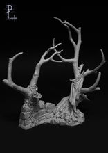Load image into Gallery viewer, Chaos 9