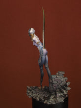 Load image into Gallery viewer, BOX ART "Demon Queen"