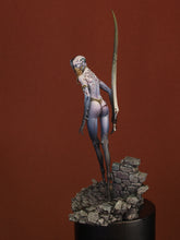 Load image into Gallery viewer, BOX ART "Demon Queen"