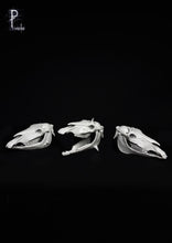 Load image into Gallery viewer, Horses 75