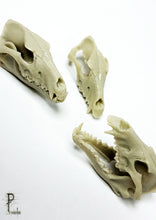 Load image into Gallery viewer, Huargos 75