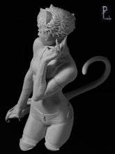 Load image into Gallery viewer, ¡Miau!