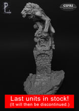 Load image into Gallery viewer, Lion