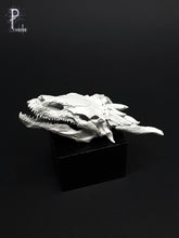 Load image into Gallery viewer, Dragon Skull