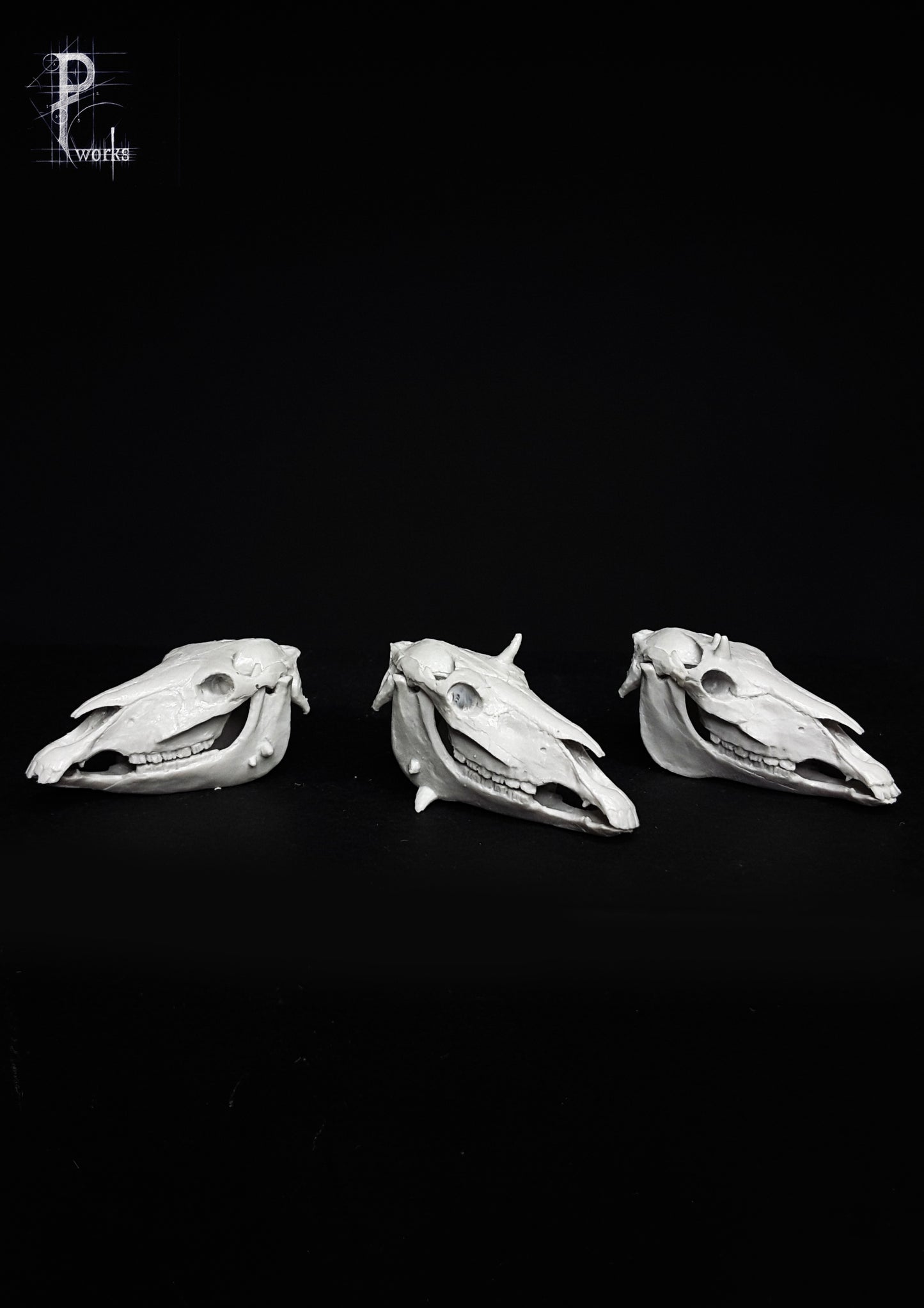 Horses 75