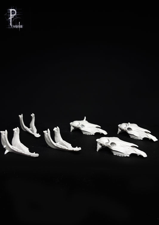 Horses 75