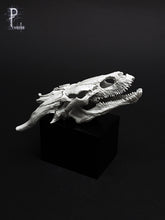 Load image into Gallery viewer, Dragon Skull