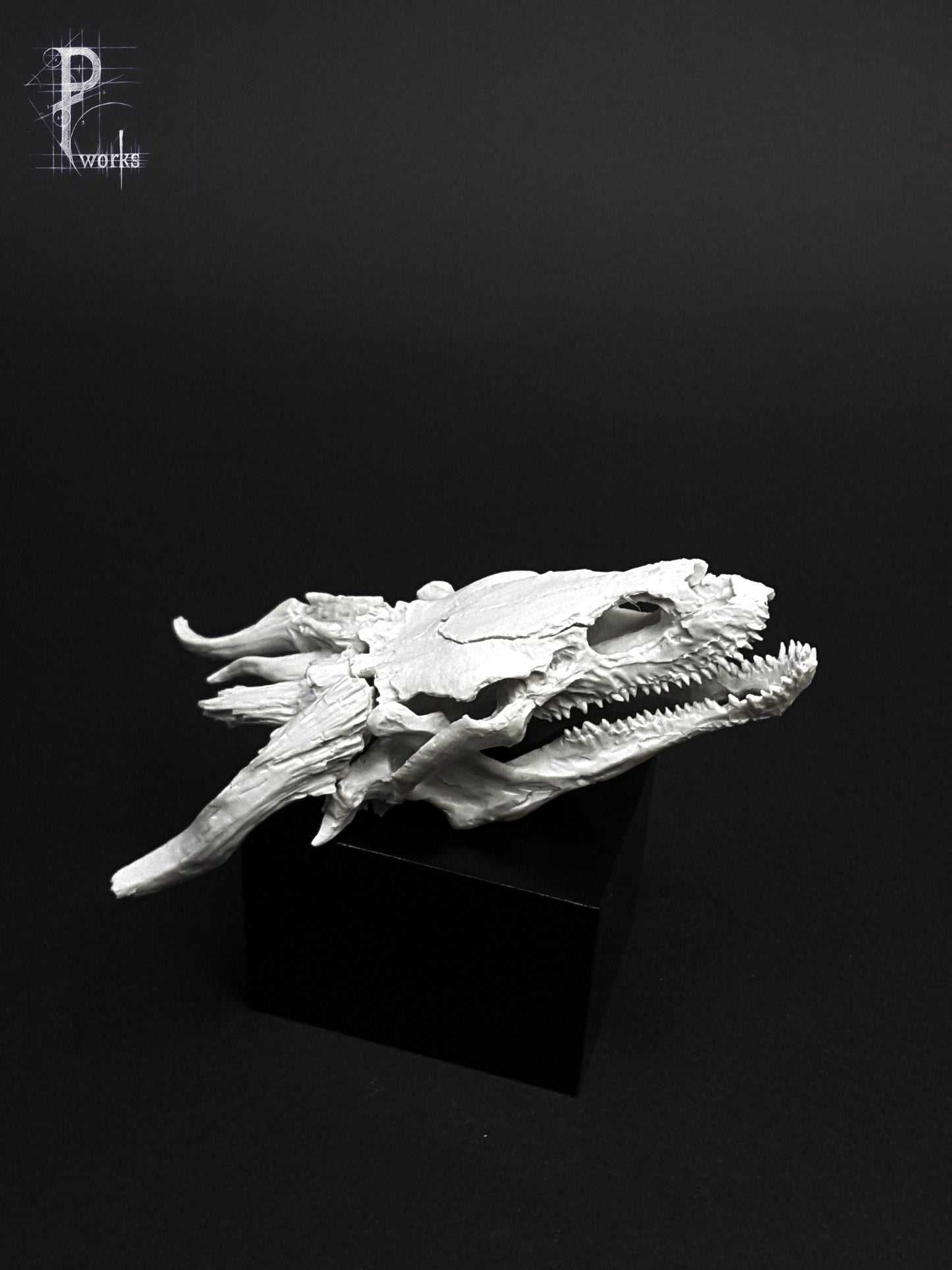Dragon Skull
