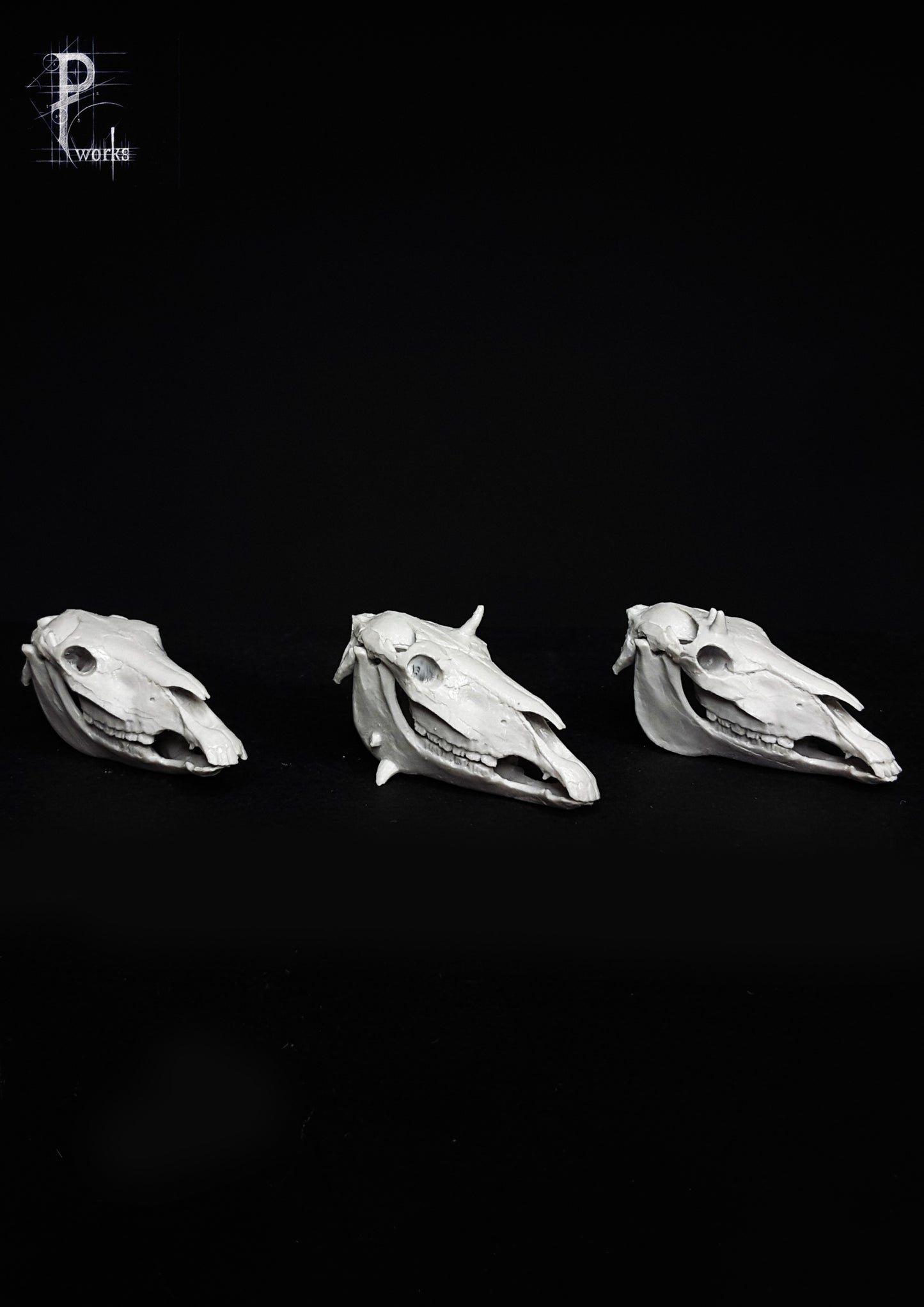 Horses 75
