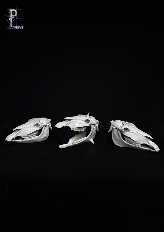 Horses 75